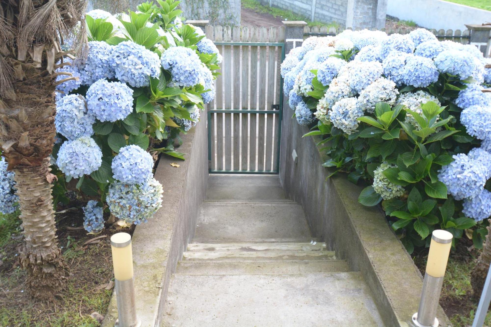 Casinha Das Hortensias Apartment Horta  Exterior photo